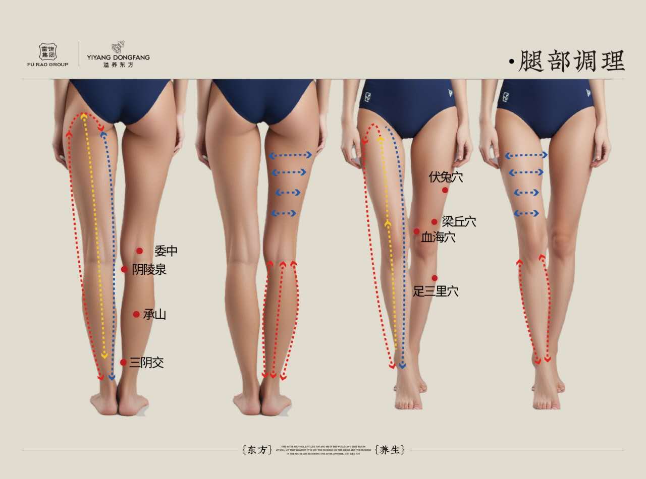 Traditional front and back leg massage direction guide